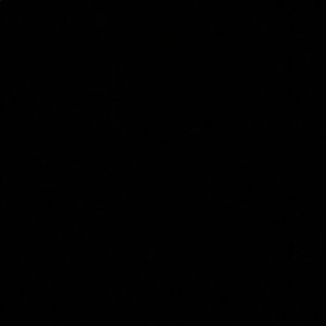 Meet your Posher, Adamariz